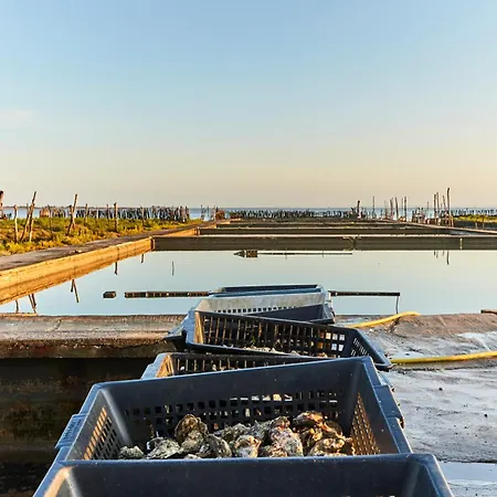 Cosy Pour 4 A 50m De La A St Hilaire - Fr-1-323-448 Daire *