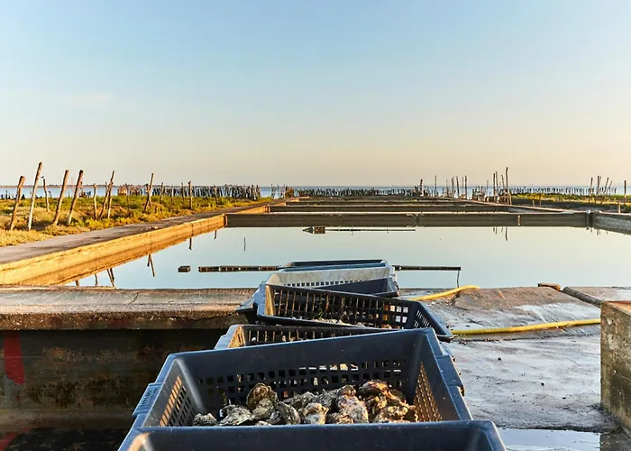 Cosy Pour 4 A 50m De La A St Hilaire - Fr-1-323-448 Daire *